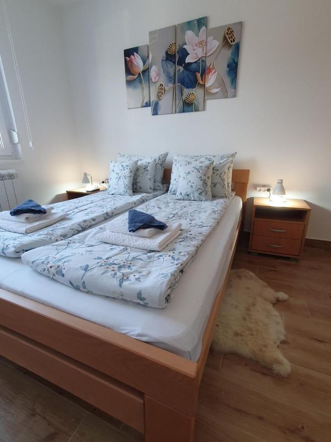 Apartment No 11 Subotica Bagian luar foto