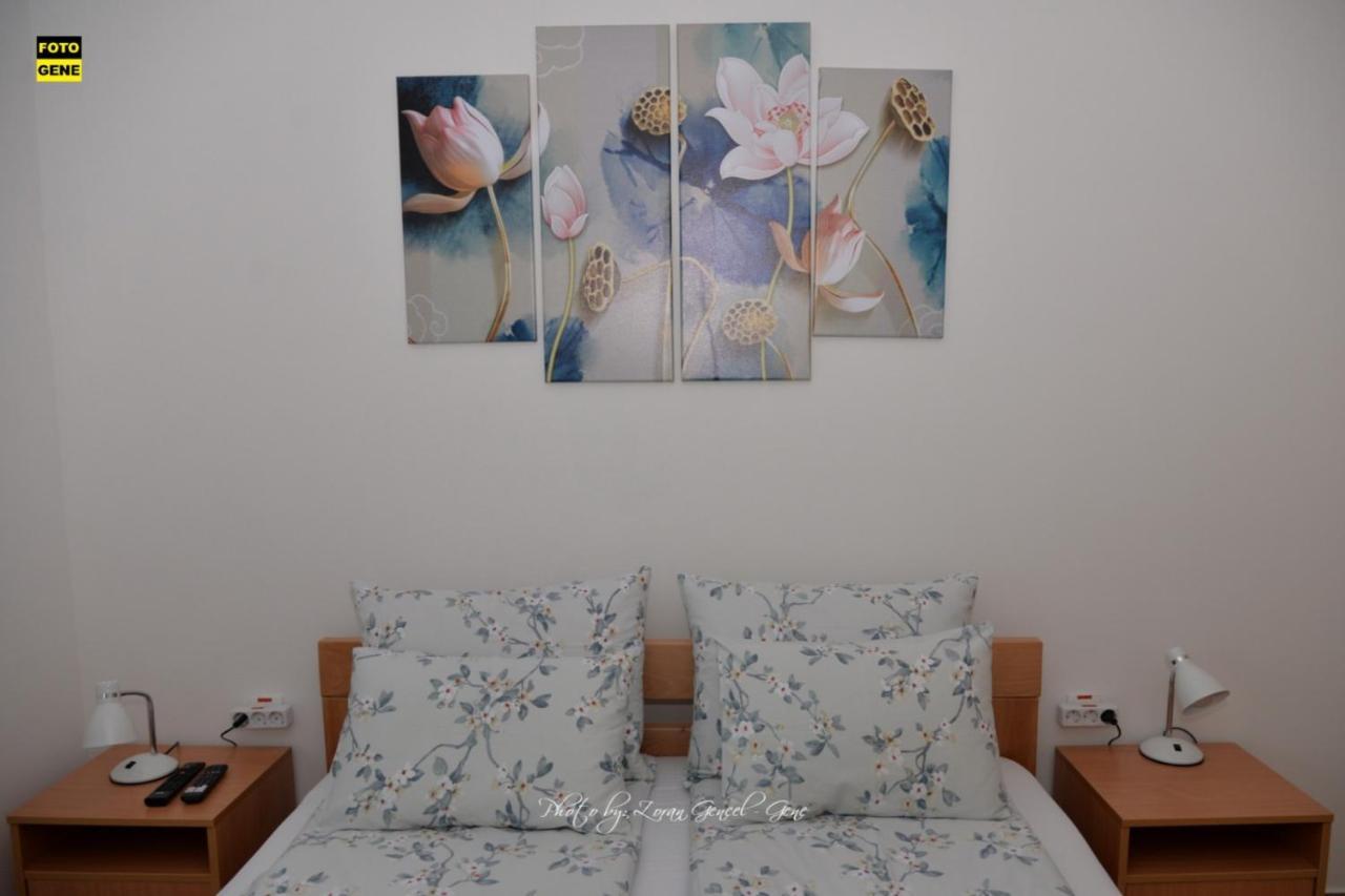 Apartment No 11 Subotica Bagian luar foto